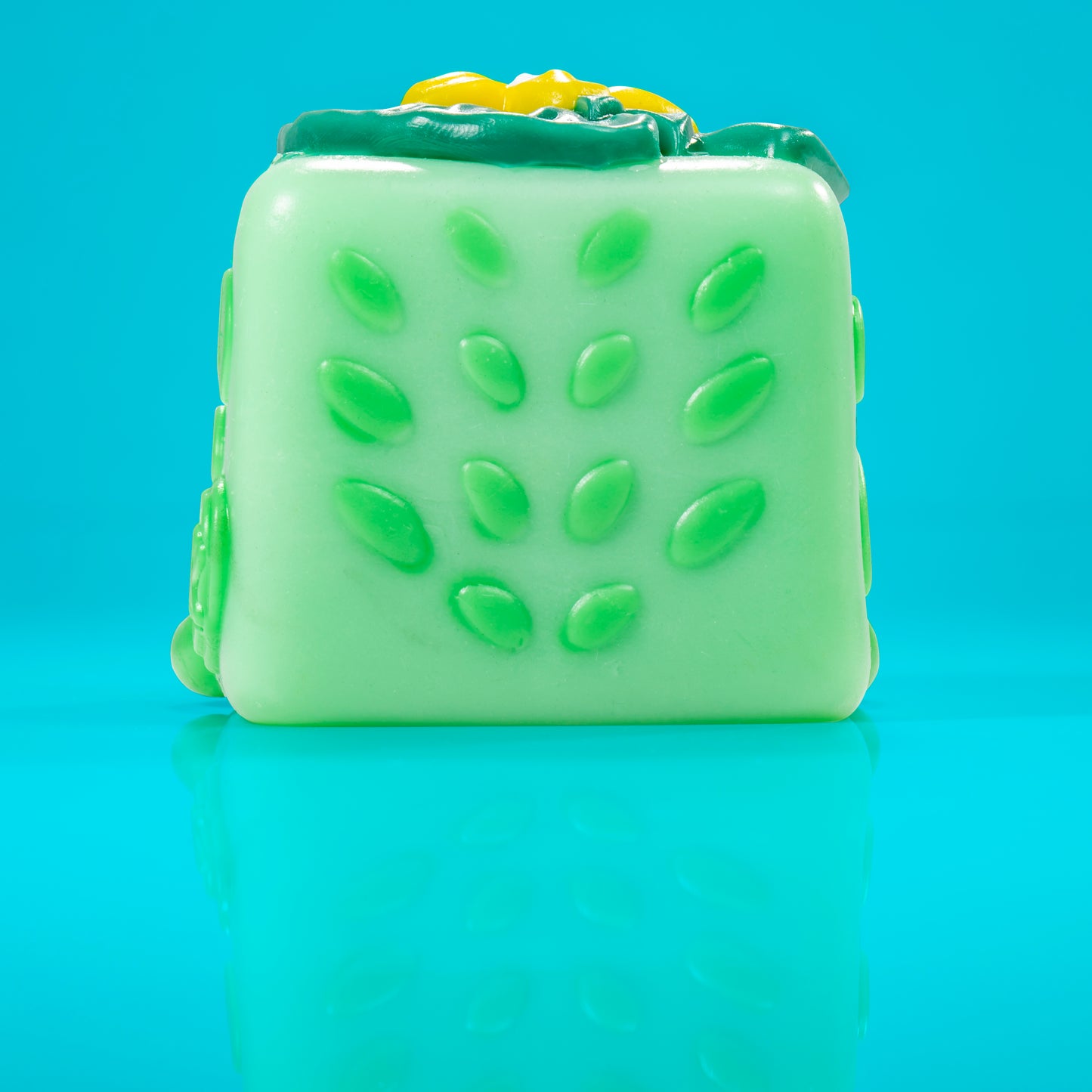 Lily the frog Mushykinz taba squishy back view on a blue background