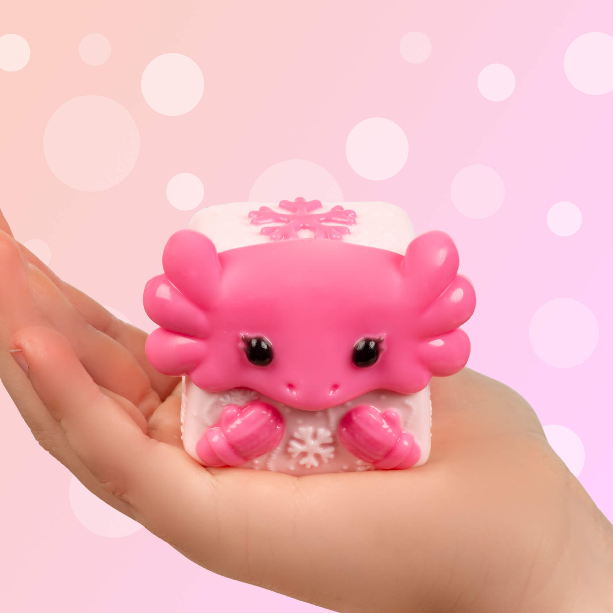 LIMITED COLLECTORS EDITION - WINTER MYSTERY BOX SERIES 1 – Mushykinz